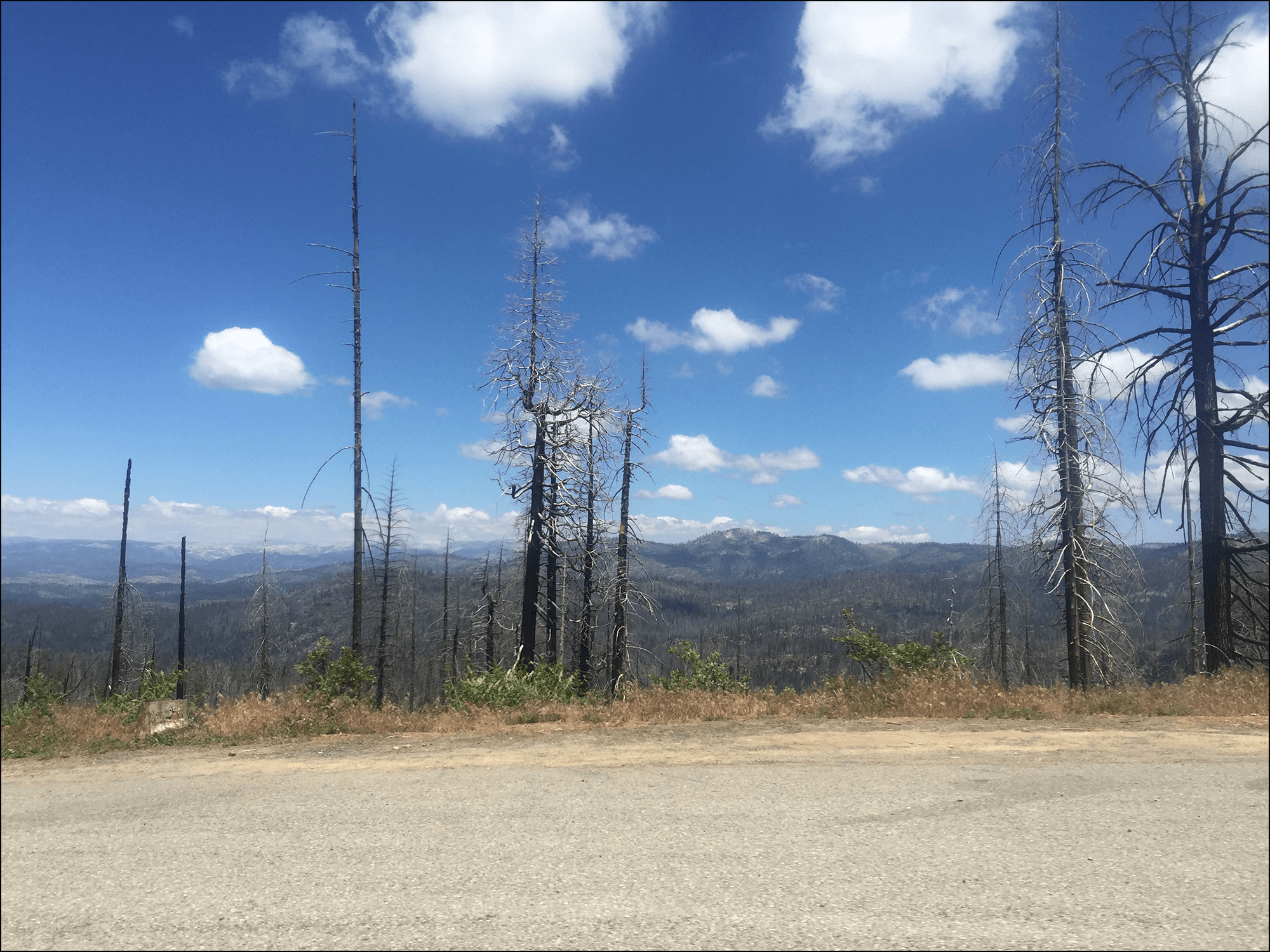 Yosemita Park Waldbrand